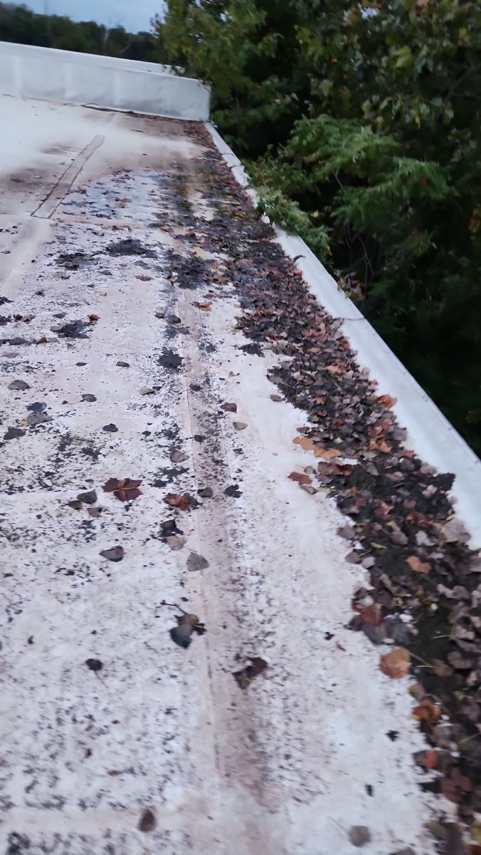 Leaves and debris built up along the parapet wall of a commercial flat roof in Bensalem